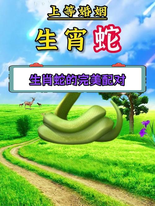 单身牛郎打一生肖是什么，单身牛郎娶蛇精是什么动物