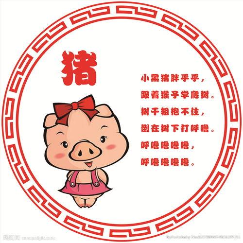 什么生肖最搭配，猪生肖和什么生肖最搭配