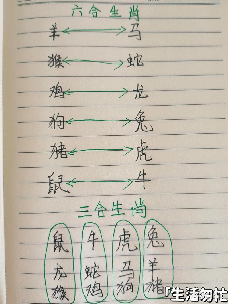 连锁反应形容什么生肖，连锁反应形容什么生肖和动物