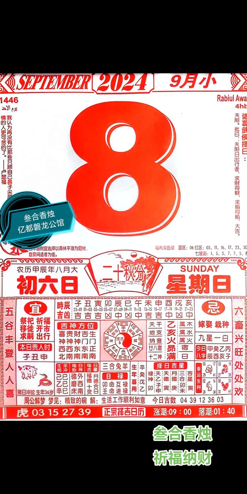 一五一十成九码打一生肖，一五一十成九码打一生肖数字