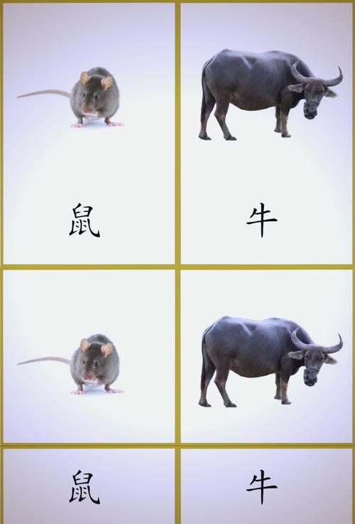 关于“蒙在鼓里”打一动物生肖的信息