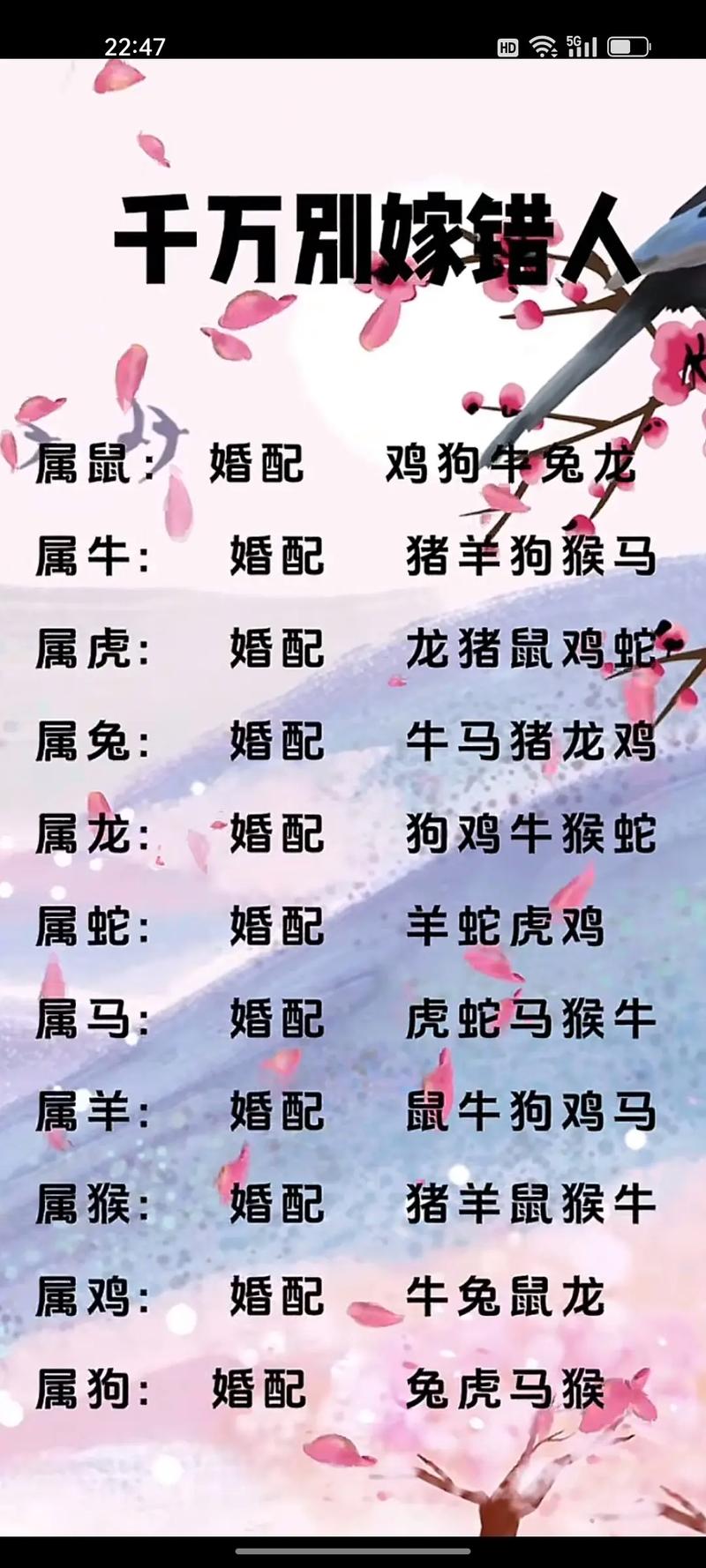 最温顺的生肖打一生肖，最温顺 性格最好的生肖
