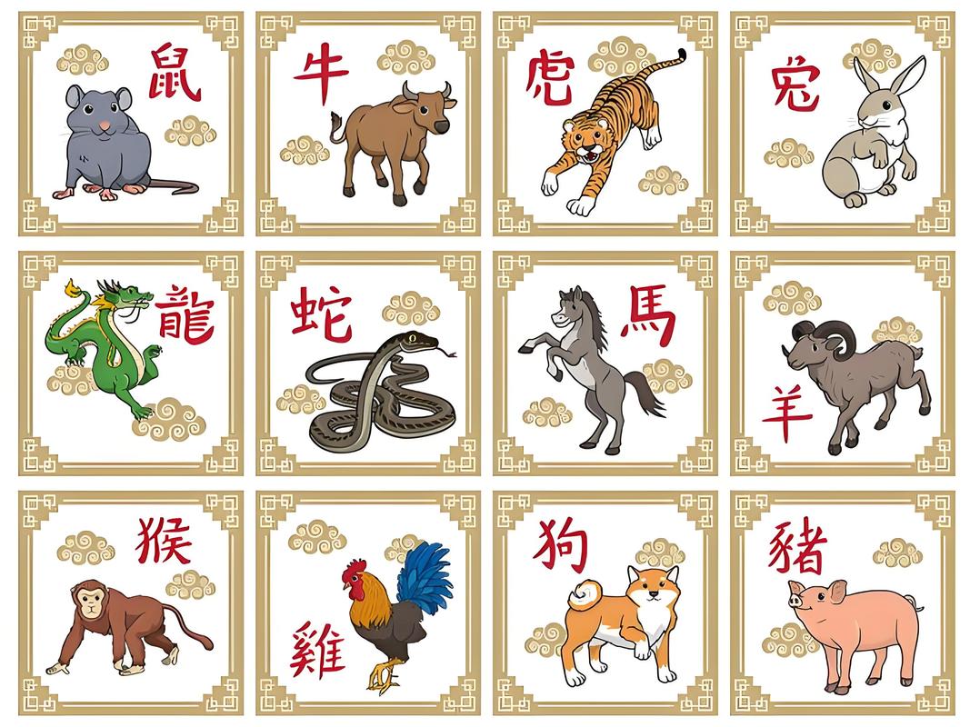 生肖表图片，2013生肖表图片