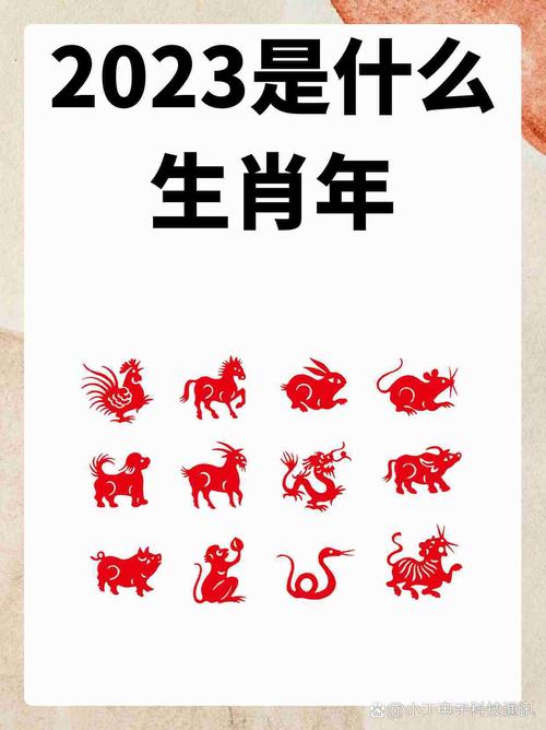 关于今期最好买是什么生肖2023的信息