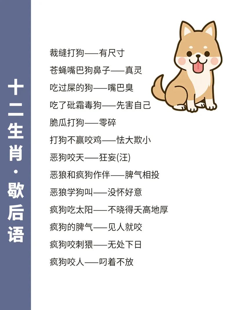 今期生肖精神爽是什么动物，今期生肖精神爽是什么动物打一生肖