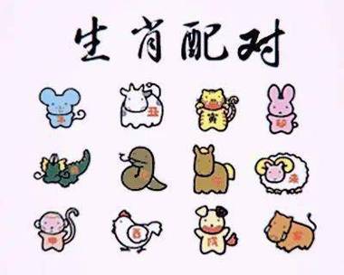 鮖打一生肖，打一生肖是什么