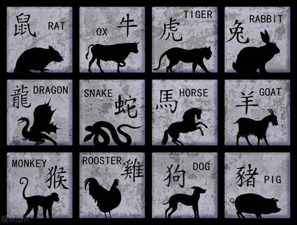 今期生肖排第六打一生肖一数字，今期生肖排第四,特别号码要保密