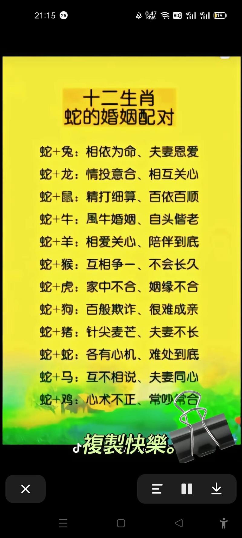 今期生肖定今期代表什么动物，今期生肖定蛇马,特肖必定在一定龙猴又相见