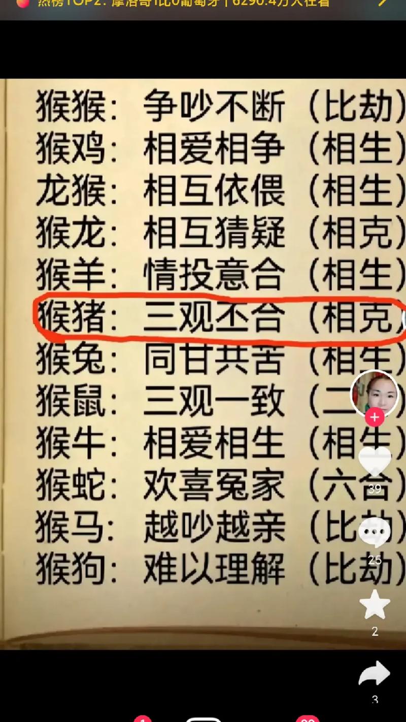 猴羊共舞看今期是什么生肖的动物的简单介绍