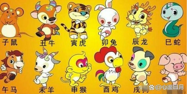 今期生肖有牛羊，今期生肖有牛羊,先后出