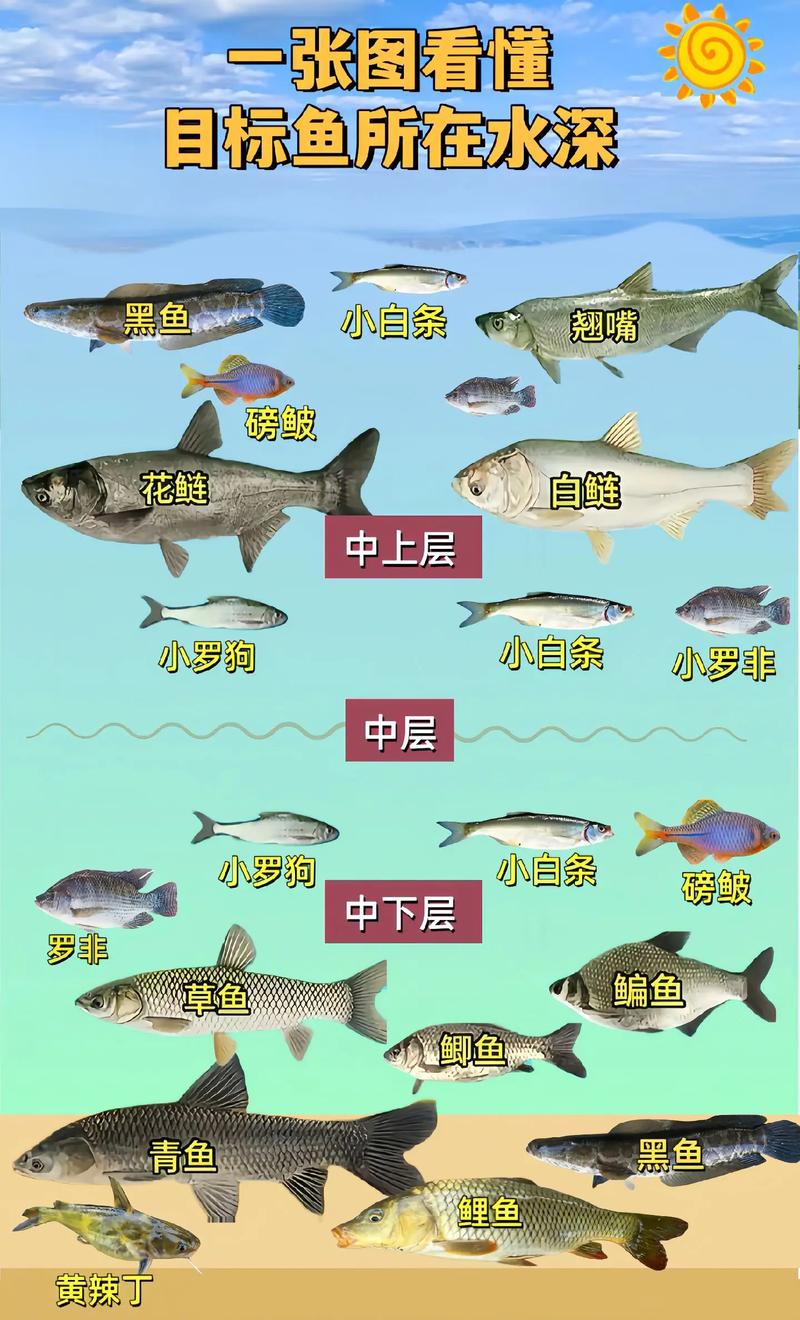 包含“大鱼”打一个生肖动物的词条