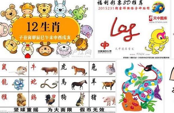 开什么看什么生肖图，开什么看什么生肖图片表情包