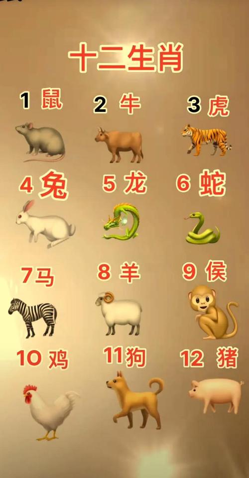 七七指的是什么生肖，七七是什么节日代表什么生肖