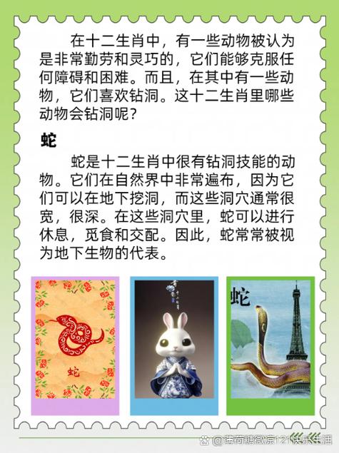 今期生肖最勤劳代表什么生肖，今期生肖最勤劳代表什么生肖和动物