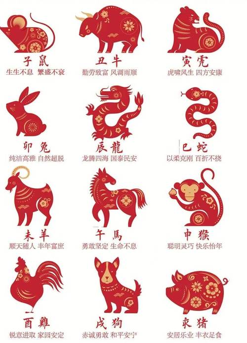 今期四五相让也是什么生肖，今期四五相让也是指什么生肖