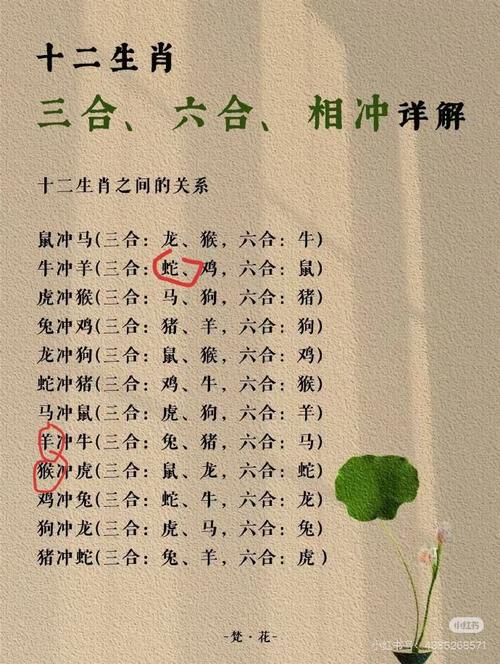 一三再爆今期现是指什么生肖的简单介绍