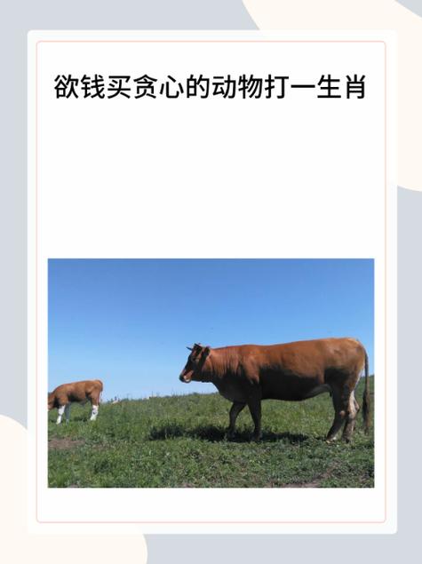 最脏的动物打一生肖，世界上最脏的动物是什么动物
