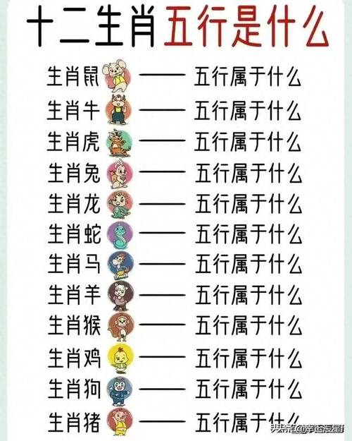 什么生肖配什么什么生肖最好，什么生肖配什么什么生肖最好呢