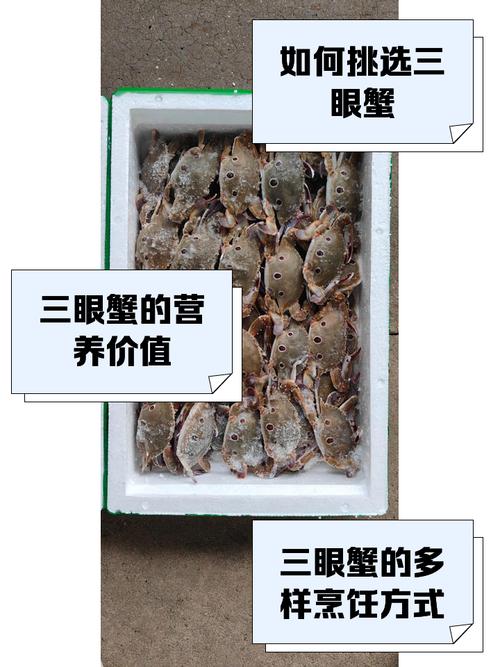 “冷眼观蟹，四目投视，看他横行到几时”打一个生肖动物的简单介绍