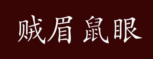 “贼眉鼠眼”代表什么生肖，贼眉鼠眼是什么动物什么意思呢