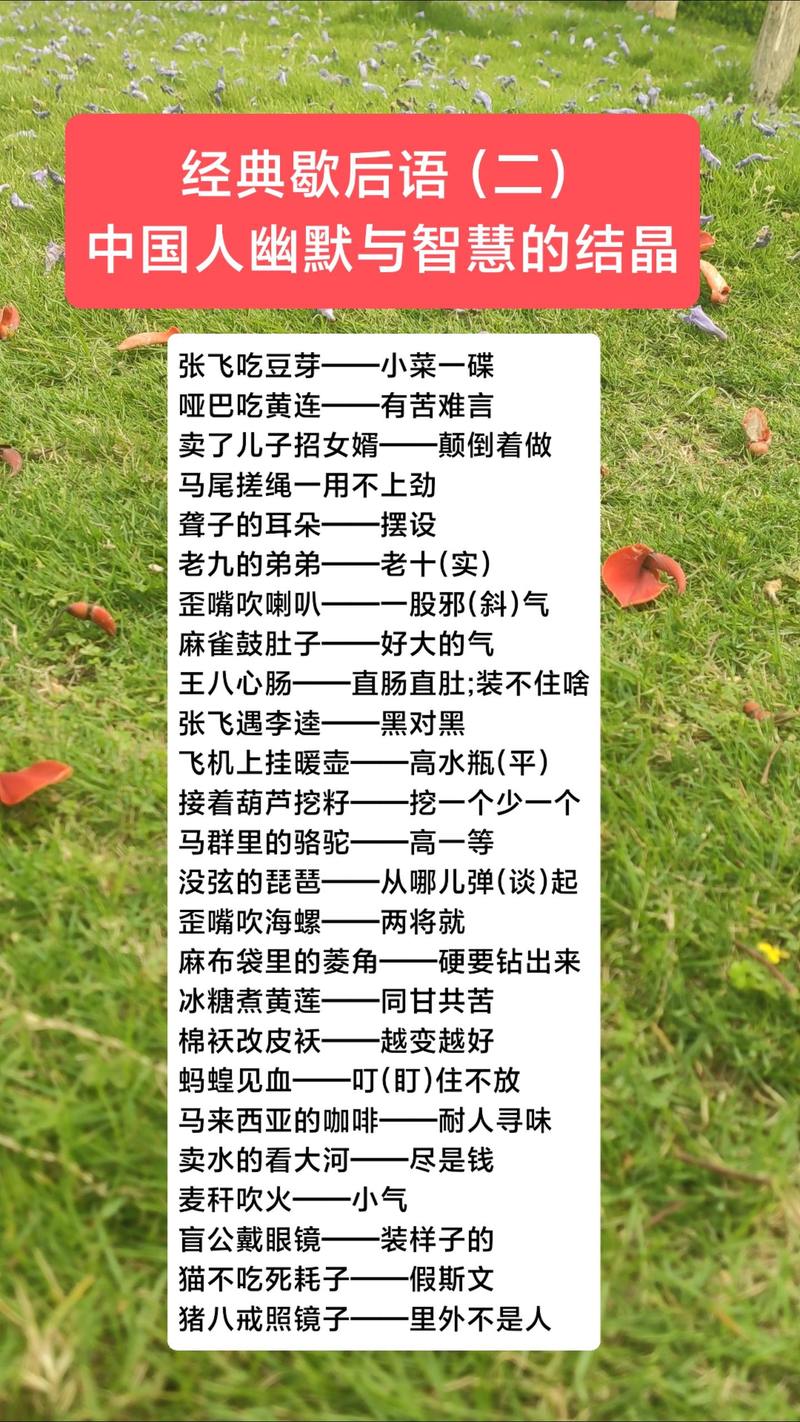 “张飞抓耗子”打一个生肖动物，张飞抓耗子歇后语的下一句是什么