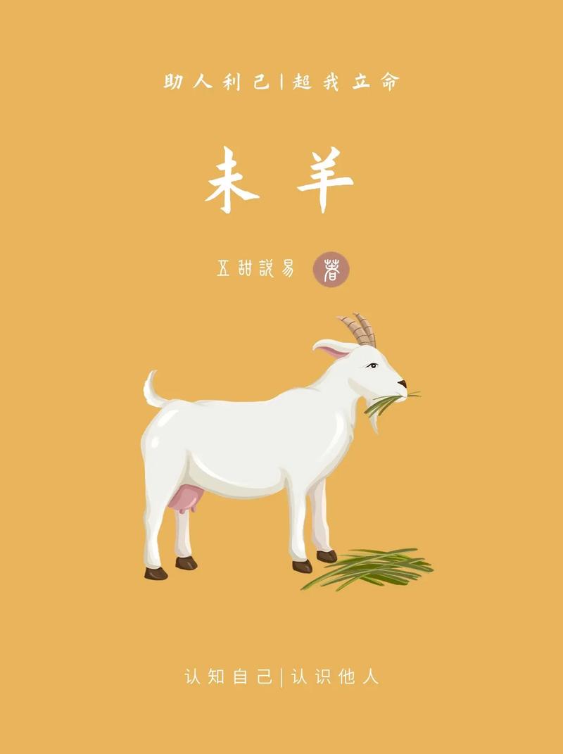 什么叫今期生肖不动摇，什么叫今期生肖不动摇的动物