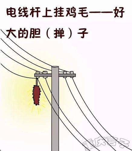 “电线杆上插鸡毛”打一最佳准确生肖的简单介绍