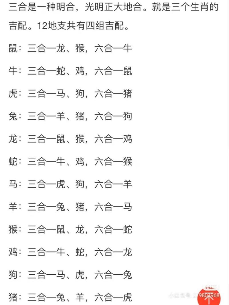四四组合应今期打正确一肖，四四相加中本期代表什么生肖