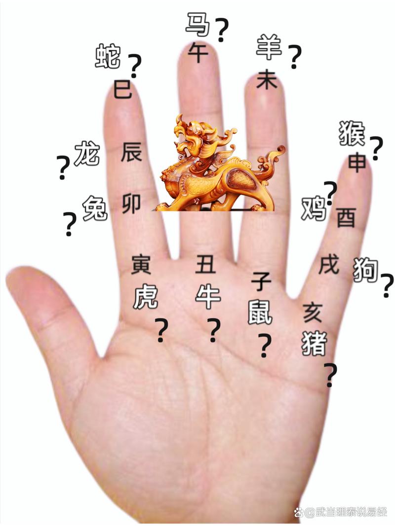 今期猴狗有玄机打一动物，今期猴狗求相会是什么生肖