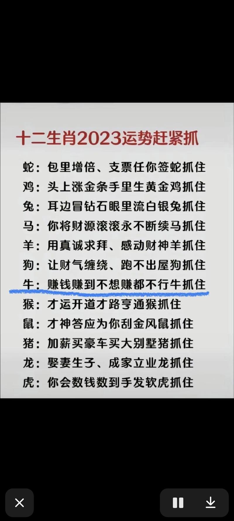 今期生肖南来燕指什么生肖，今期生肖南方旺开过什么数字