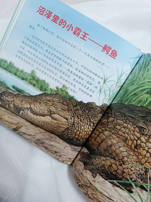 详细阅读:二九相合在今期猜一肖动物的简单介绍 二九相合在今期猜一肖动物的简单介绍