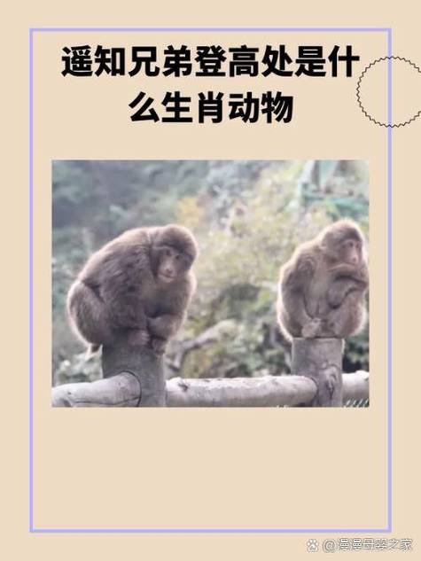 “一生之计在于辰”打一个生肖动物的简单介绍