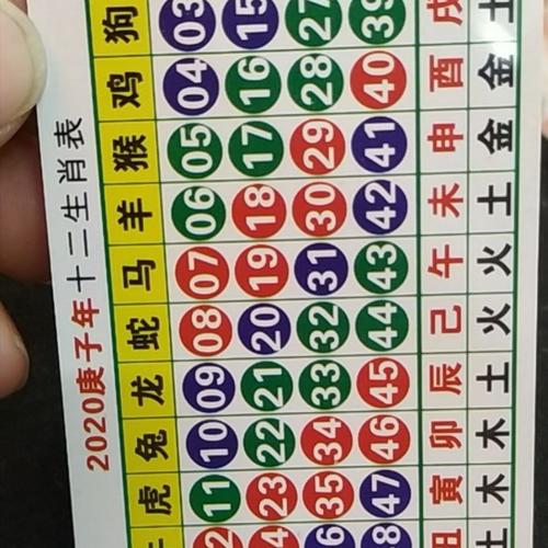 今期生肖是什么?，今期生肖最好查什么意思