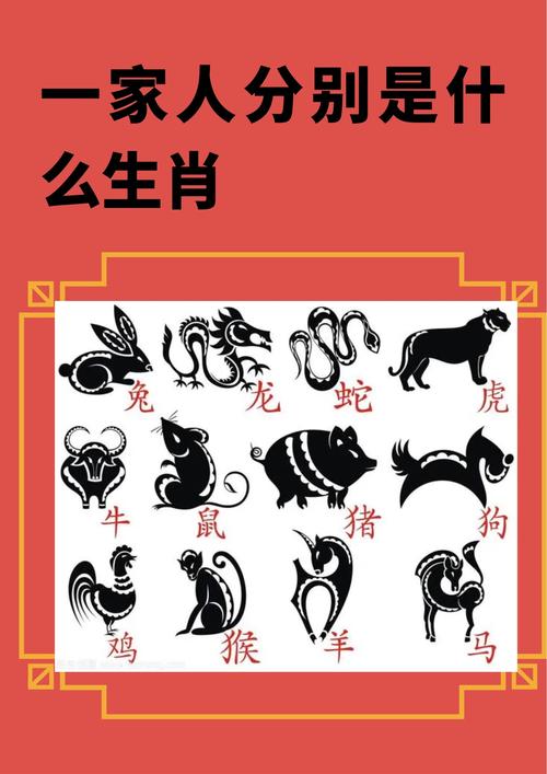 今期就看小数号打正确生肖，今期就看小数号蛇猪虎肖有参考
