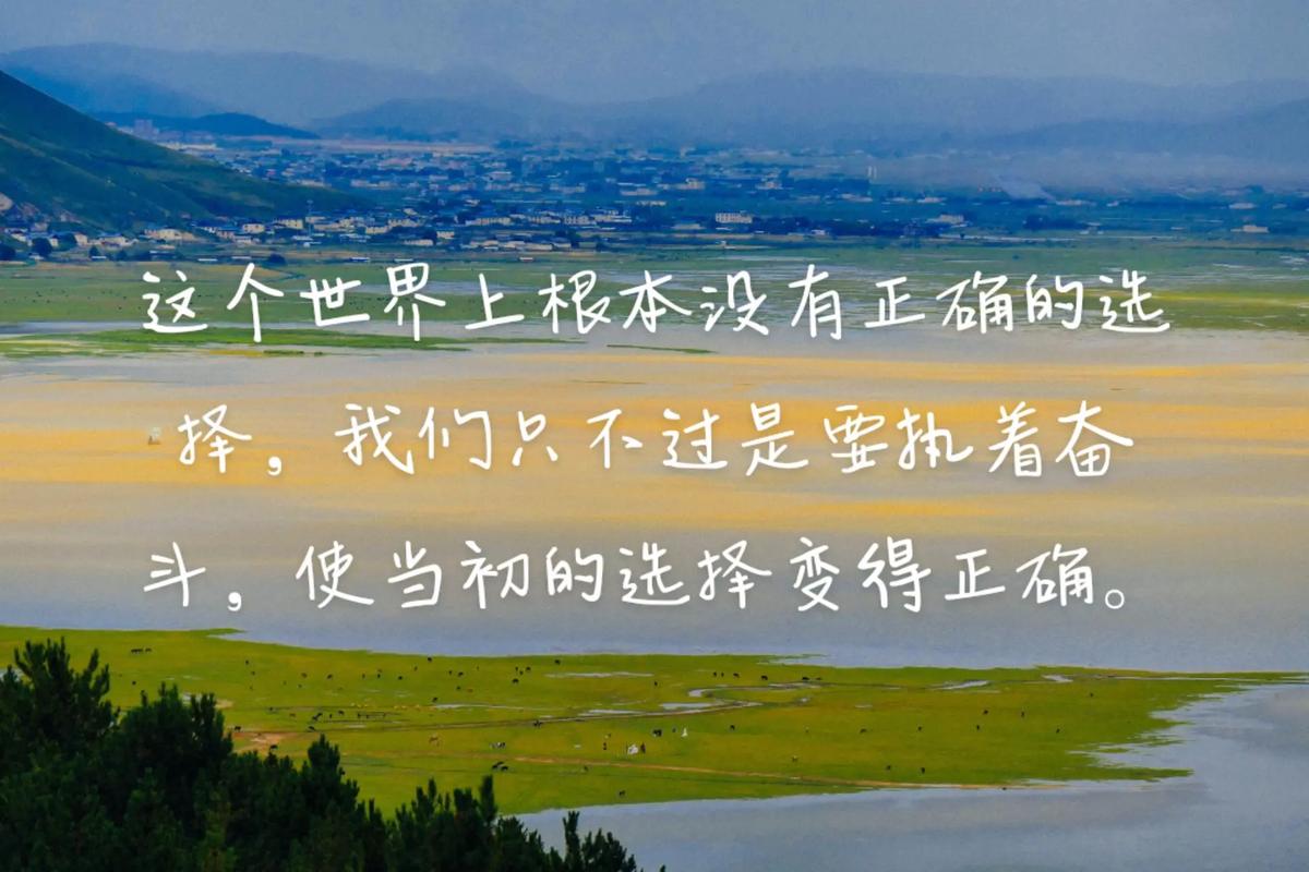 择取今期什么意思，择现是什么意思是什么