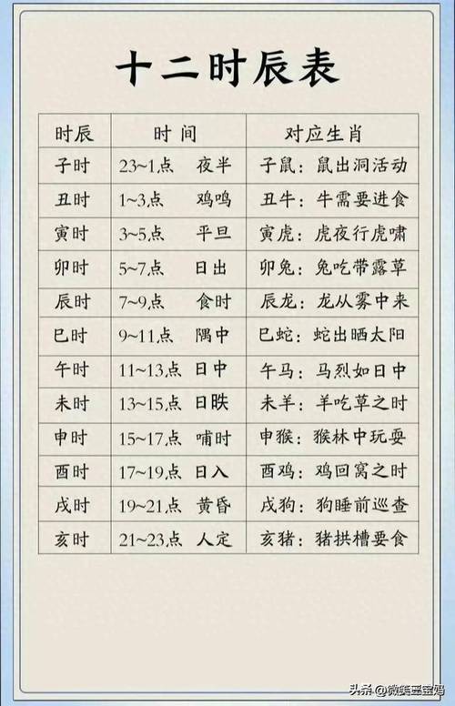 巳时属于什么生肖时辰，巳时,对应的生肖是什么?