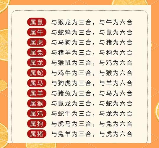 今期三合是什么生肖的动物呢，今期三合是什么生肖的动物呢图片