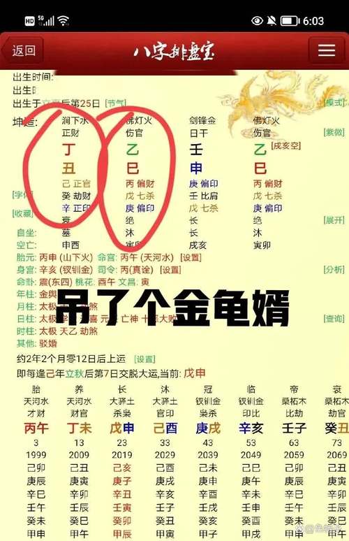 三长四短打一生肖，三长两短打一生肖正确答案