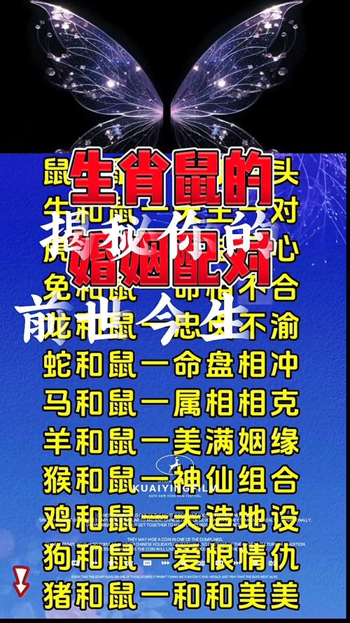 关于抱头鼠窜打一生肖是什么动物的信息