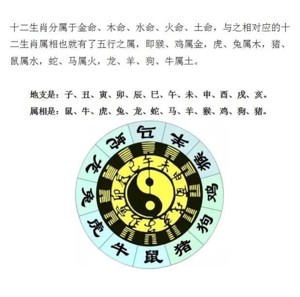 “木金有钱两头找”打一准确生肖的简单介绍