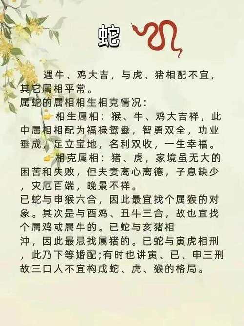 情人节一般开什么生肖，情人节开什么生肖最准确