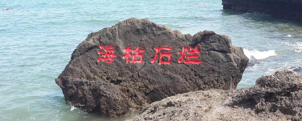 “海枯石烂”打一个生肖动物的简单介绍