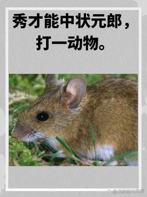 今期特数丽如虹打一肖，今期之数中特玛是什么生肖