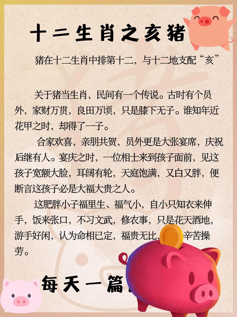 今期还是哪猪中是什么生肖?的简单介绍