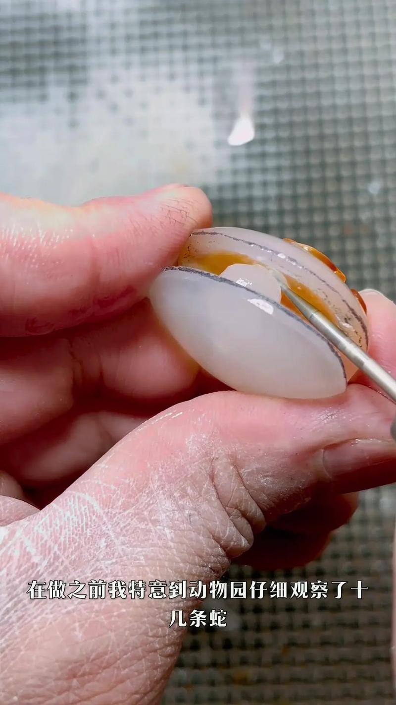 “掌上明珠”打一准确动物生肖的简单介绍