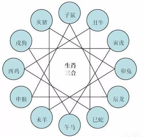 今期买狗蛇输精光是什么生肖，今期买狗输尽光日和风利大地春