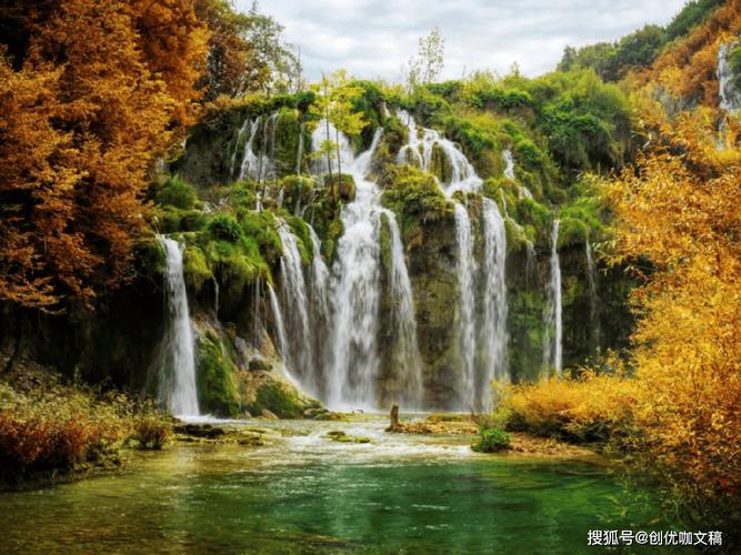 “燕雀乌鹊”代表什么生肖的简单介绍
