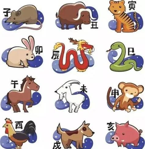 12月出生属相是什么生肖呢，12月出生属相是什么生肖呢女