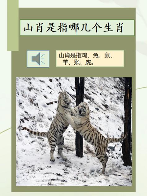 “荒山野岭”打一最佳准确生肖的简单介绍