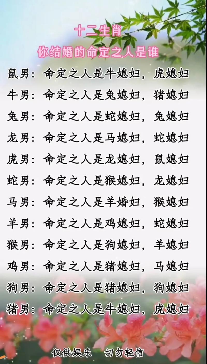 金无足赤打一生肖，金无足赤打一准确生肖